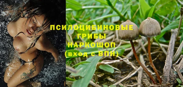 шишки Аркадак