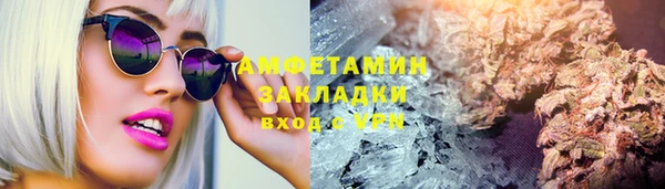 шишки Аркадак