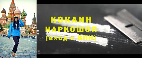 шишки Аркадак