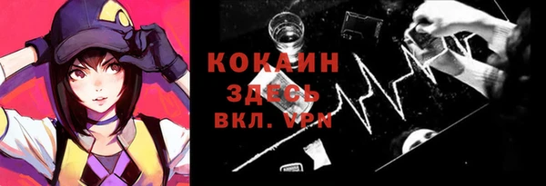 шишки Аркадак