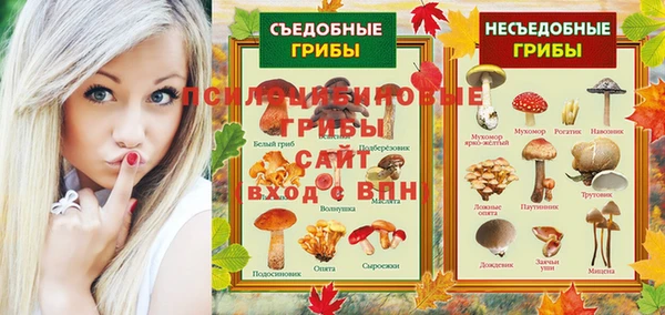 спиды Арсеньев