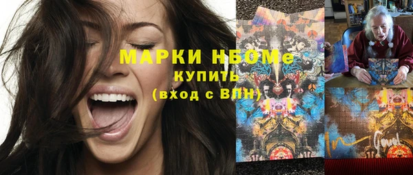 шишки Аркадак