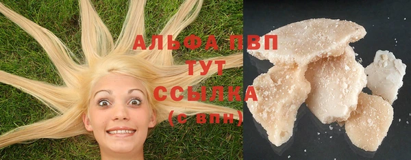 шишки Аркадак