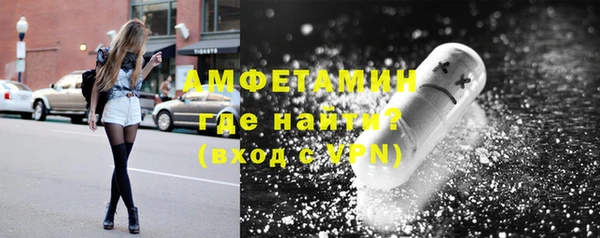шишки Аркадак