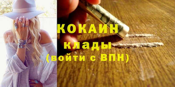 шишки Аркадак