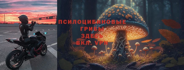 спиды Арсеньев