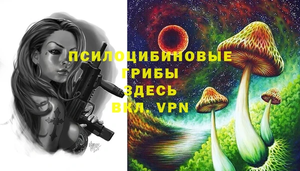 ALPHA-PVP Армянск