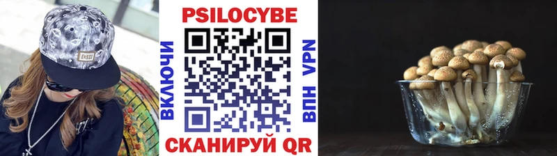 Купить где  Зеленоградск  Псилоцибиновые грибы Magic Shrooms 