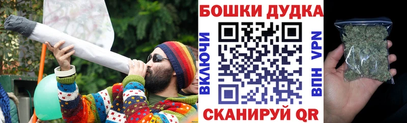 Каннабис план Купить Зеленоградск